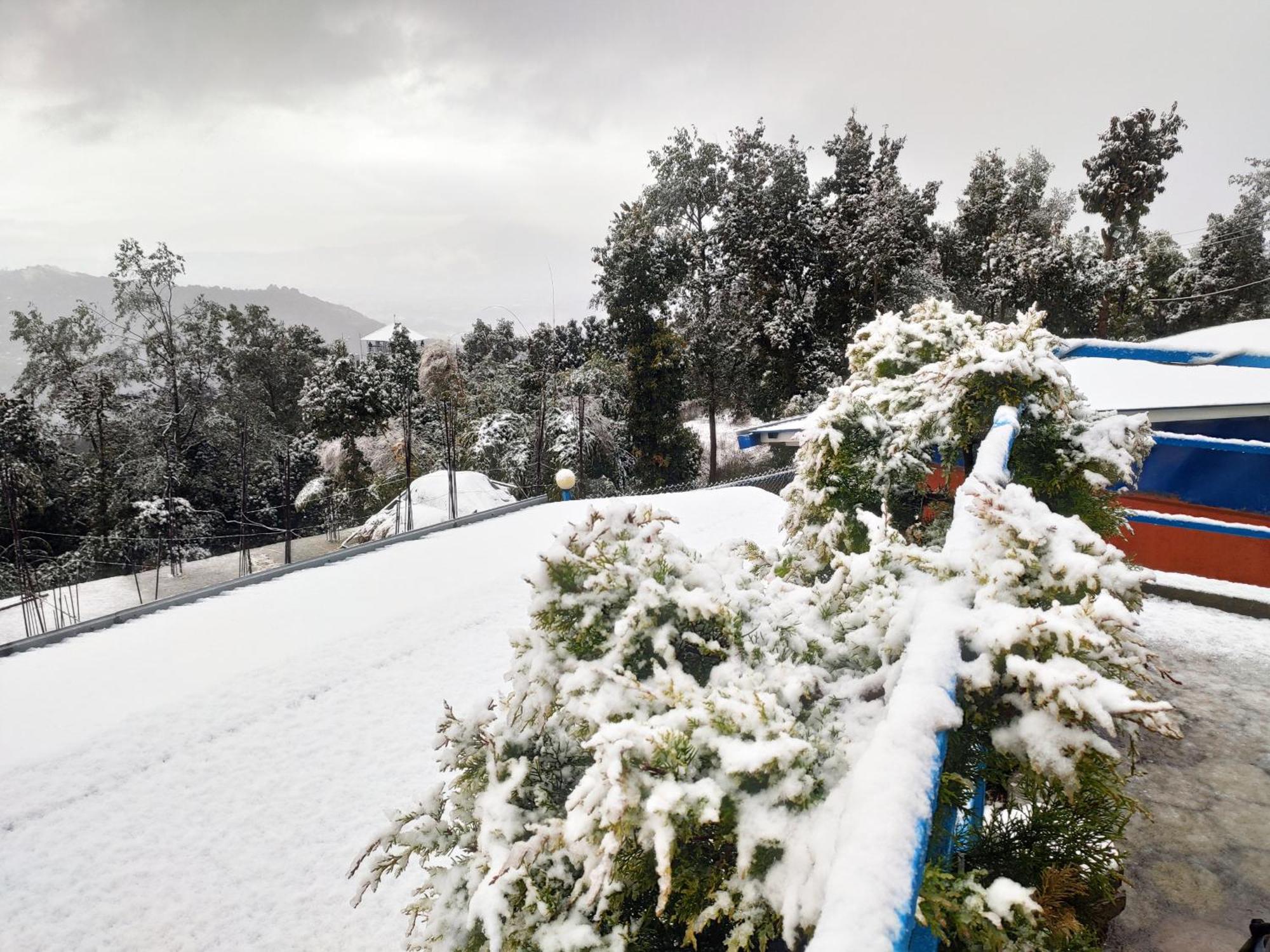 Chareli Resort 나가르코트 외부 사진